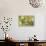 Escargot, Tree Escargot, Flowers-Jurgen Ulmer-Framed Premier Image Canvas displayed on a wall