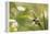Escargot, Tree Escargot, Flowers-Jurgen Ulmer-Framed Premier Image Canvas