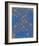 Eschen's Leafs II-Carmine Thorner-Framed Art Print