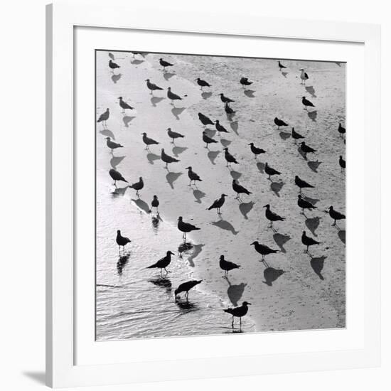 Escher's Seagulls-Michael Kahn-Framed Giclee Print