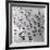 Escher's Seagulls-Michael Kahn-Framed Giclee Print