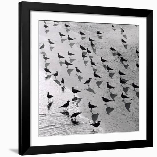 Escher's Seagulls-Michael Kahn-Framed Giclee Print