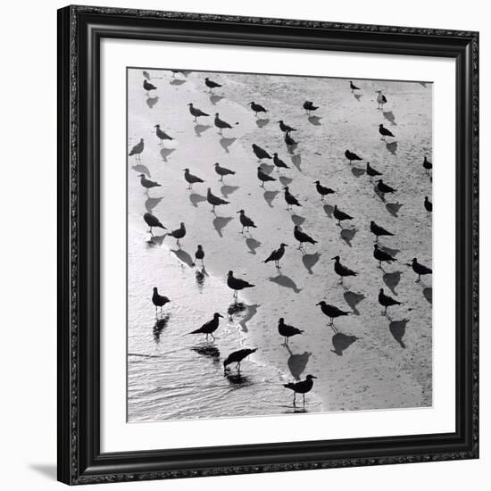 Escher's Seagulls-Michael Kahn-Framed Giclee Print