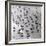 Escher's Seagulls-Michael Kahn-Framed Giclee Print