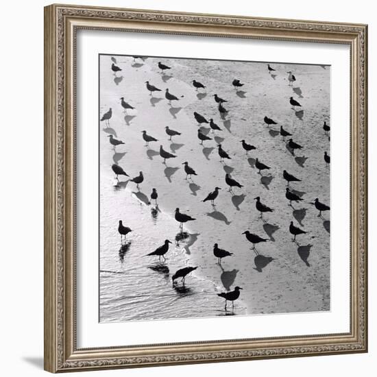 Escher's Seagulls-Michael Kahn-Framed Giclee Print