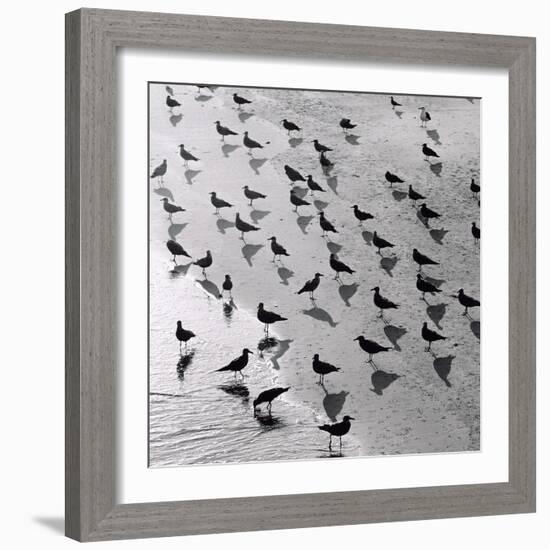 Escher's Seagulls-Michael Kahn-Framed Giclee Print