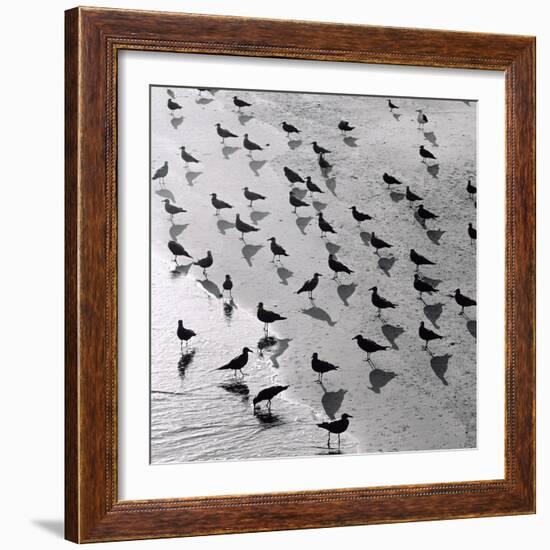 Escher's Seagulls-Michael Kahn-Framed Giclee Print