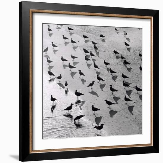 Escher's Seagulls-Michael Kahn-Framed Giclee Print