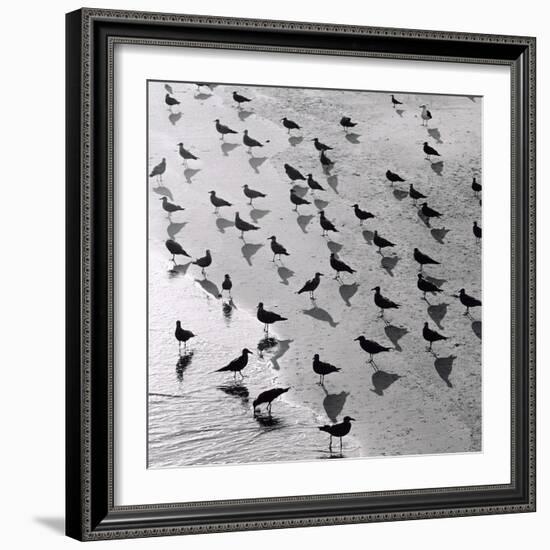 Escher's Seagulls-Michael Kahn-Framed Giclee Print