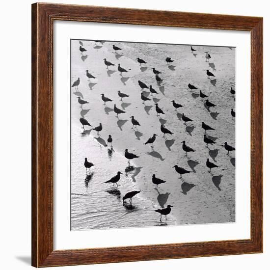 Escher's Seagulls-Michael Kahn-Framed Giclee Print