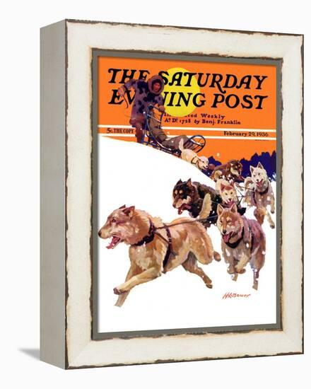 "Eskimo and Dog Sled," Saturday Evening Post Cover, February 29, 1936-Maurice Bower-Framed Premier Image Canvas