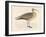 Eskimo Curlew-Reverend Francis O. Morris-Framed Art Print