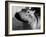 Esme, Two Month Old Hippopotamus, April 1973-null-Framed Photographic Print