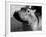 Esme, Two Month Old Hippopotamus, April 1973-null-Framed Photographic Print