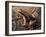 Espada's rocket frog on leaf, Tungurahua Province, Ecuador-Morley Read-Framed Photographic Print