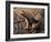 Espada's rocket frog on leaf, Tungurahua Province, Ecuador-Morley Read-Framed Photographic Print