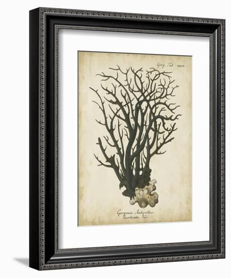 Esper Antique Coral I-Johann Esper-Framed Art Print