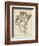 Esper Antique Coral II-Johann Esper-Framed Art Print