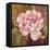 Esperance Rose-Pamela Gladding-Framed Stretched Canvas