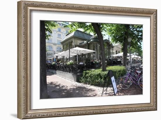 Esplanadi Park, Helsinki, Finland, 2011-Sheldon Marshall-Framed Photographic Print