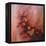 Esprit des Fleurs  2020  (oil on canvas)-Lee Campbell-Framed Premier Image Canvas