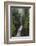 Ess Na Larach, Glenarriff, County Antrim, Ulster, Northern Ireland, United Kingdom, Europe-Carsten Krieger-Framed Photographic Print