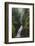 Ess Na Larach, Glenarriff, County Antrim, Ulster, Northern Ireland, United Kingdom, Europe-Carsten Krieger-Framed Photographic Print