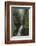 Ess Na Larach, Glenarriff, County Antrim, Ulster, Northern Ireland, United Kingdom, Europe-Carsten Krieger-Framed Photographic Print