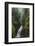 Ess Na Larach, Glenarriff, County Antrim, Ulster, Northern Ireland, United Kingdom, Europe-Carsten Krieger-Framed Photographic Print