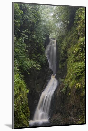 Ess Na Larach, Glenarriff, County Antrim, Ulster, Northern Ireland, United Kingdom, Europe-Carsten Krieger-Mounted Photographic Print