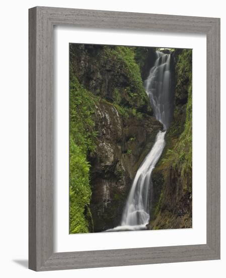 Ess-Na-Larach Waterfall, County Antrim, Ulster, Northern Ireland, UK-Neale Clarke-Framed Photographic Print