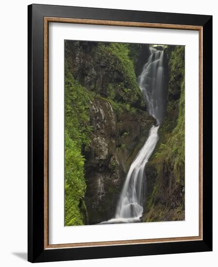 Ess-Na-Larach Waterfall, County Antrim, Ulster, Northern Ireland, UK-Neale Clarke-Framed Photographic Print