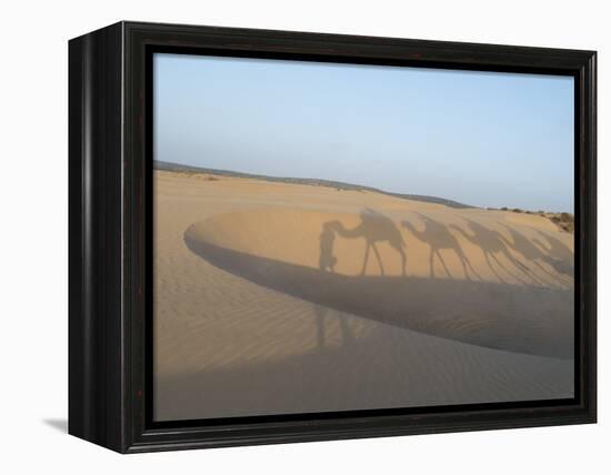 Essaouira Beach Camel Shadows, Morocco, North Africa, Africa-Charles Bowman-Framed Premier Image Canvas