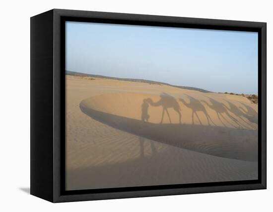 Essaouira Beach Camel Shadows, Morocco, North Africa, Africa-Charles Bowman-Framed Premier Image Canvas