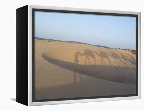 Essaouira Beach Camel Shadows, Morocco, North Africa, Africa-Charles Bowman-Framed Premier Image Canvas