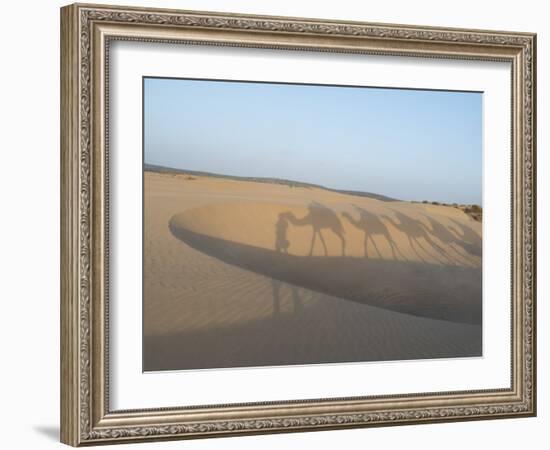 Essaouira Beach Camel Shadows, Morocco, North Africa, Africa-Charles Bowman-Framed Photographic Print