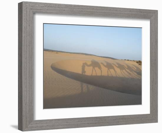 Essaouira Beach Camel Shadows, Morocco, North Africa, Africa-Charles Bowman-Framed Photographic Print