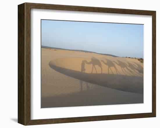 Essaouira Beach Camel Shadows, Morocco, North Africa, Africa-Charles Bowman-Framed Photographic Print