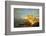 Essaouira Fortress, Morocco, Africa-silver-john-Framed Photographic Print