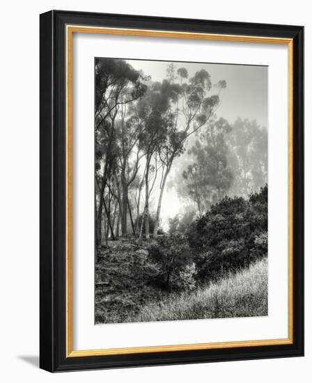 Essential Oils Redux-Geoffrey Ansel Agrons-Framed Giclee Print