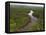 Essequibo River, Between the Orinoco and Amazon, Iwokrama Reserve, Guyana-Pete Oxford-Framed Premier Image Canvas