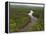 Essequibo River, Between the Orinoco and Amazon, Iwokrama Reserve, Guyana-Pete Oxford-Framed Premier Image Canvas