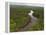 Essequibo River, Between the Orinoco and Amazon, Iwokrama Reserve, Guyana-Pete Oxford-Framed Premier Image Canvas