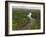 Essequibo River, Between the Orinoco and Amazon, Iwokrama Reserve, Guyana-Pete Oxford-Framed Photographic Print