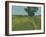 Essex Field-Paul Bailey-Framed Art Print