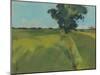 Essex Field-Paul Bailey-Mounted Art Print