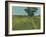 Essex Field-Paul Bailey-Framed Art Print