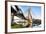 Estaiada Bridge, Sao Paulo, Brazil, South America-Thiago Leite-Framed Photographic Print