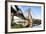 Estaiada Bridge, Sao Paulo, Brazil, South America-Thiago Leite-Framed Photographic Print