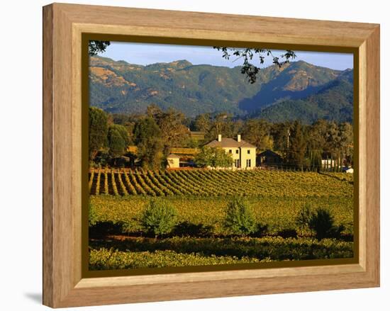Estate and Vineyard, Napa Valley, California-John Alves-Framed Premier Image Canvas